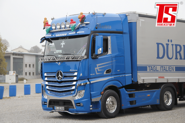 MERCEDES FÅGELNÄT RIBBOR