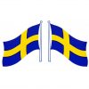 Sverigeflagga 220x140mm