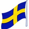 Sverigeflagga 220x140mm