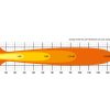 Lazer T24 Evolution Ljusbild