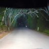 Lightforce 20 tum Single Row LED-ramp